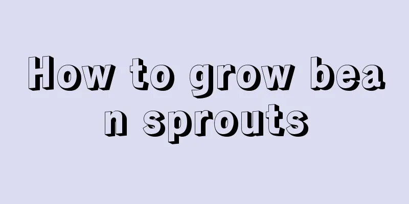 How to grow bean sprouts