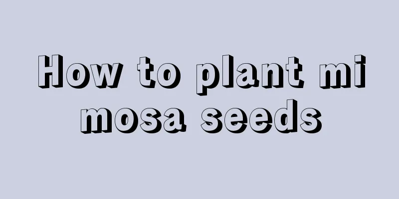 How to plant mimosa seeds