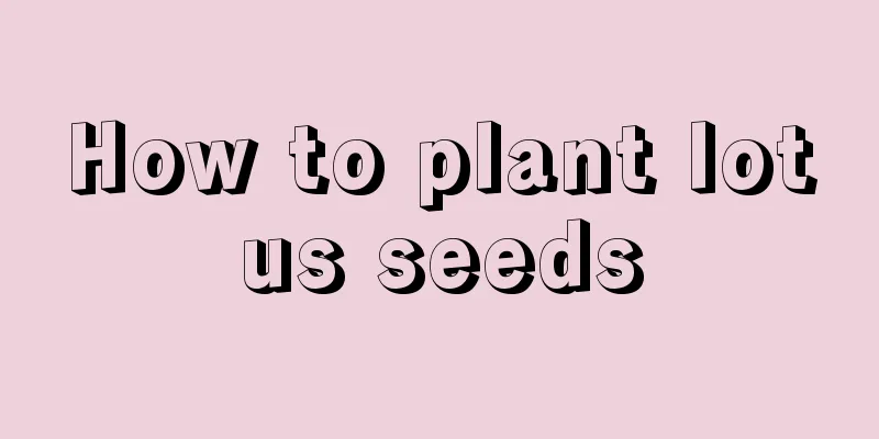 How to plant lotus seeds