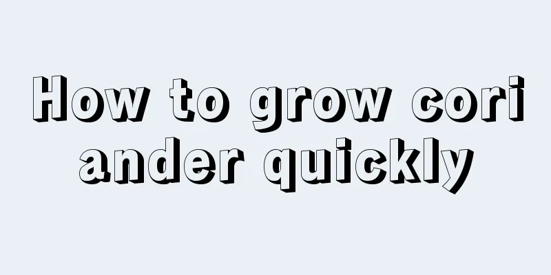 How to grow coriander quickly