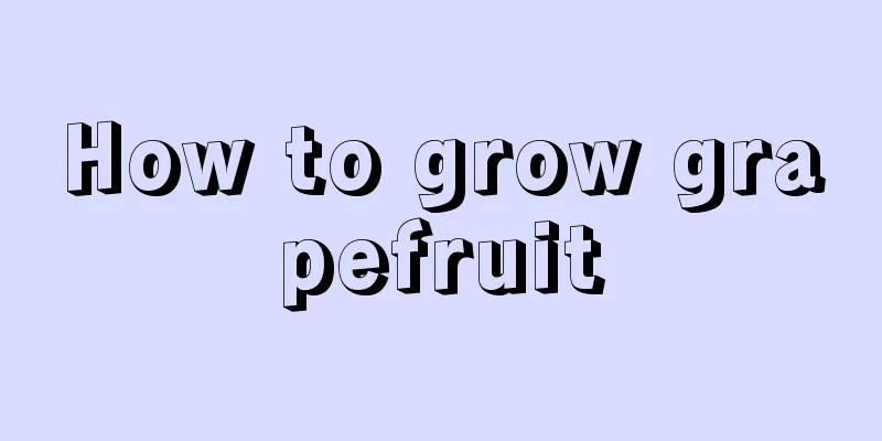 How to grow grapefruit