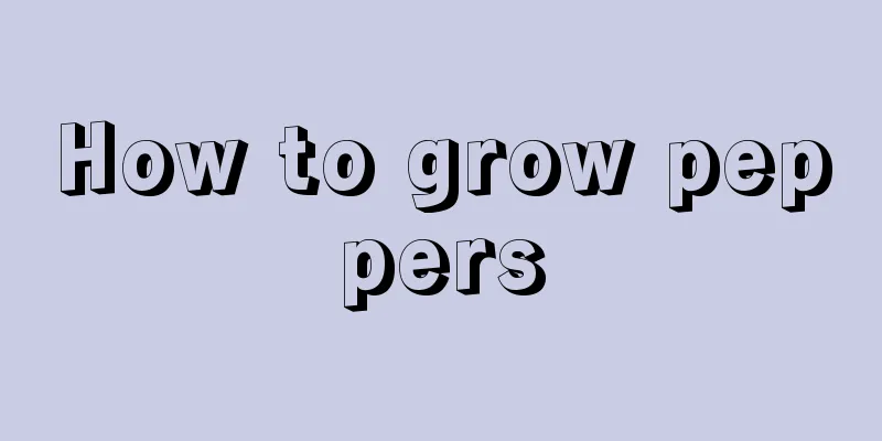 How to grow peppers