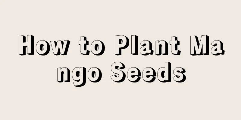 How to Plant Mango Seeds