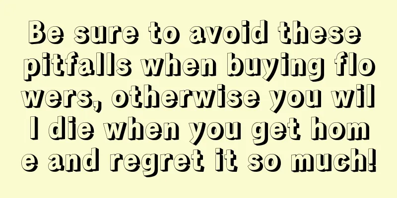 Be sure to avoid these pitfalls when buying flowers, otherwise you will die when you get home and regret it so much!