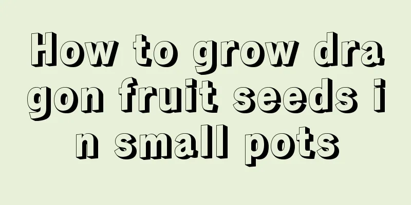 How to grow dragon fruit seeds in small pots