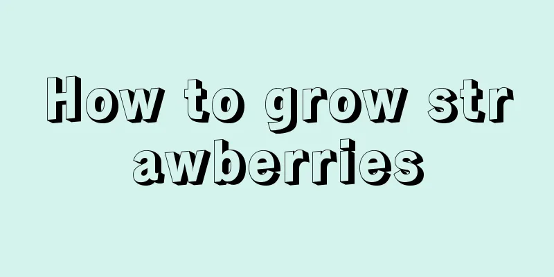 How to grow strawberries