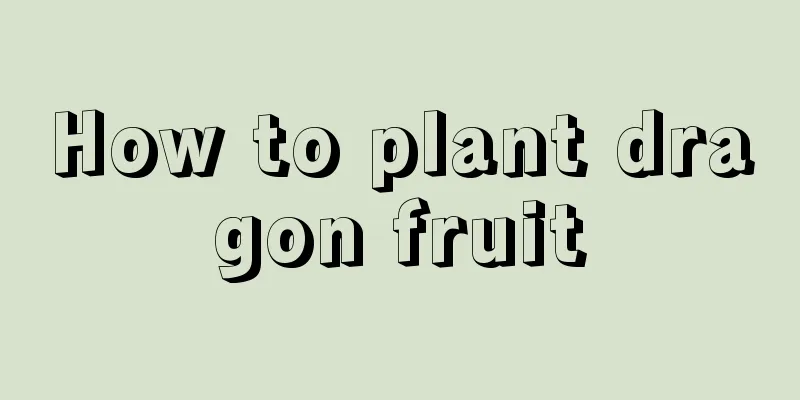 How to plant dragon fruit