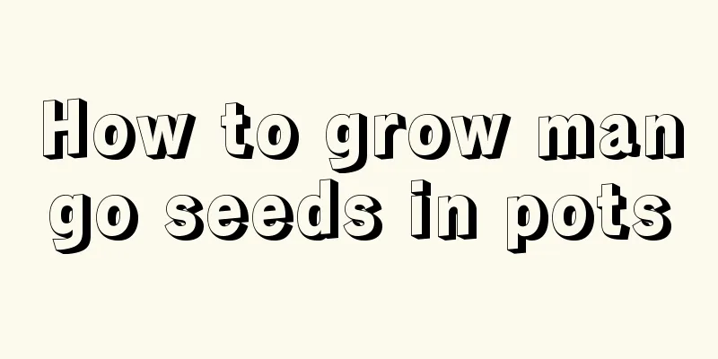 How to grow mango seeds in pots