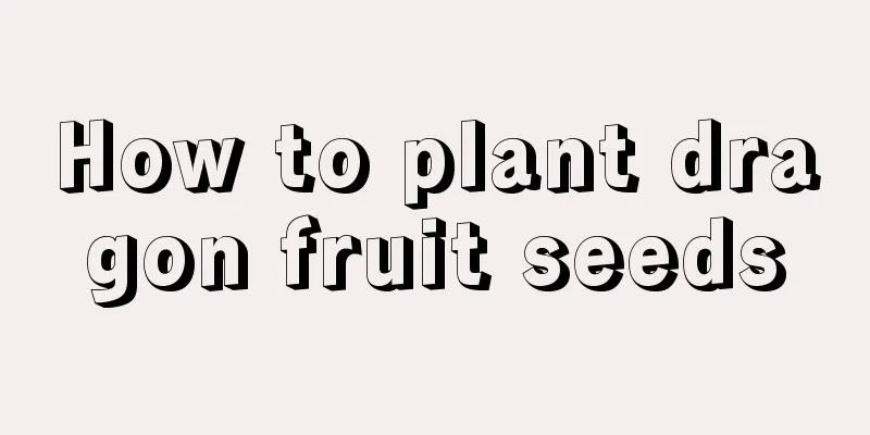 How to plant dragon fruit seeds