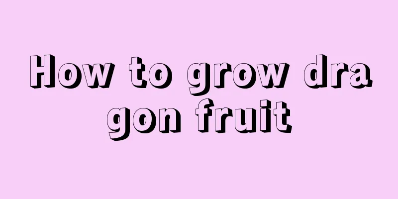 How to grow dragon fruit