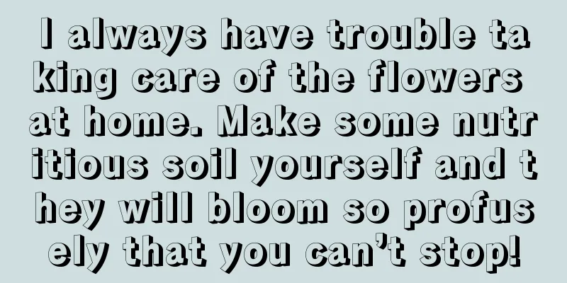 I always have trouble taking care of the flowers at home. Make some nutritious soil yourself and they will bloom so profusely that you can’t stop!