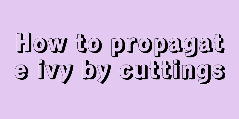 How to propagate ivy by cuttings