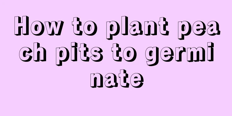 How to plant peach pits to germinate