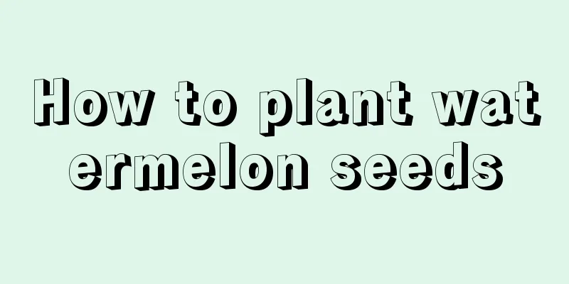 How to plant watermelon seeds