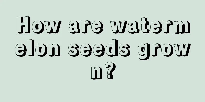 How are watermelon seeds grown?