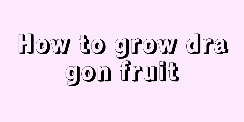 How to grow dragon fruit