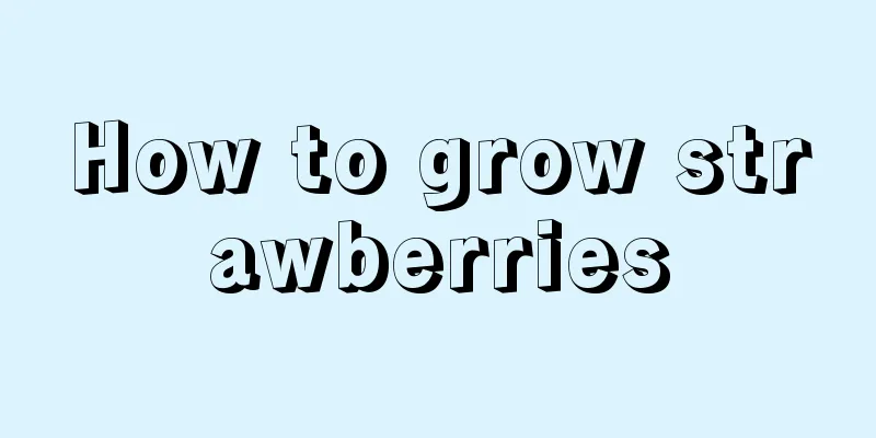 How to grow strawberries