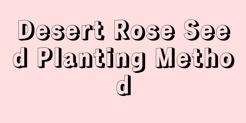 Desert Rose Seed Planting Method