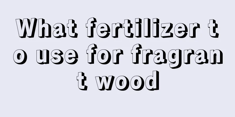 What fertilizer to use for fragrant wood