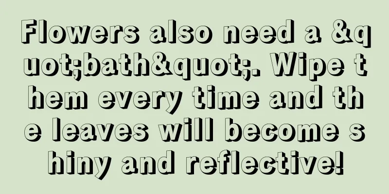 Flowers also need a "bath". Wipe them every time and the leaves will become shiny and reflective!