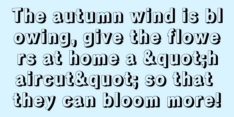 The autumn wind is blowing, give the flowers at home a "haircut" so that they can bloom more!