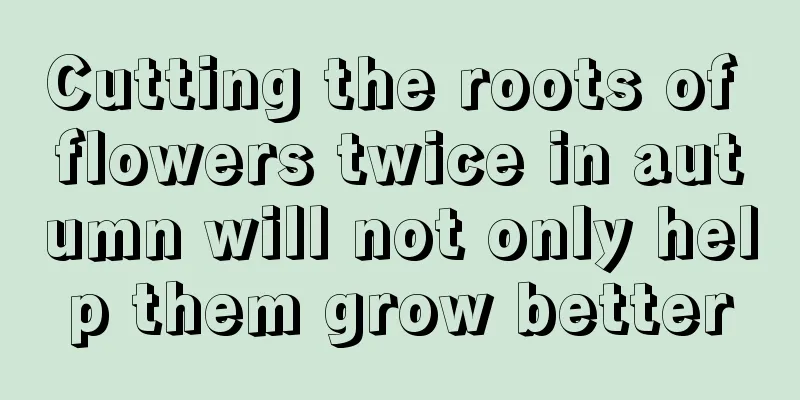 Cutting the roots of flowers twice in autumn will not only help them grow better