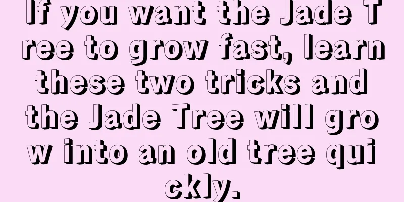 If you want the Jade Tree to grow fast, learn these two tricks and the Jade Tree will grow into an old tree quickly.