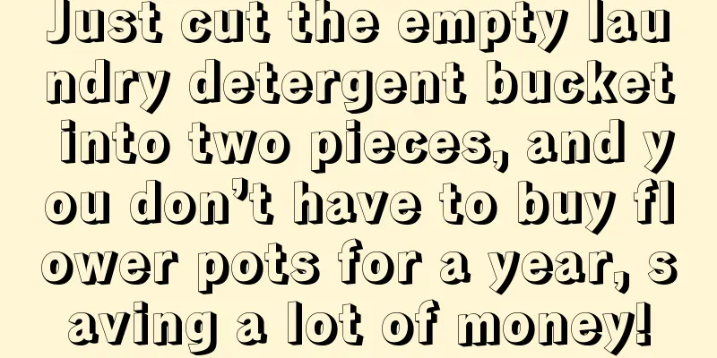 Just cut the empty laundry detergent bucket into two pieces, and you don’t have to buy flower pots for a year, saving a lot of money!