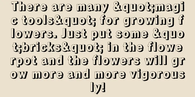 There are many "magic tools" for growing flowers. Just put some "bricks" in the flowerpot and the flowers will grow more and more vigorously!