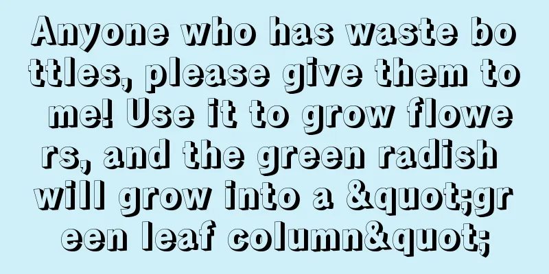 Anyone who has waste bottles, please give them to me! Use it to grow flowers, and the green radish will grow into a "green leaf column"