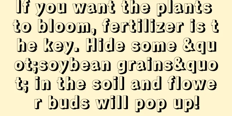 If you want the plants to bloom, fertilizer is the key. Hide some "soybean grains" in the soil and flower buds will pop up!