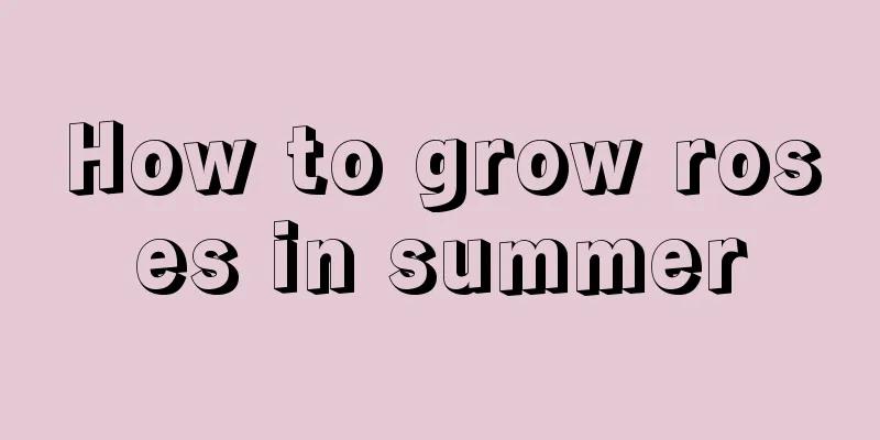 How to grow roses in summer