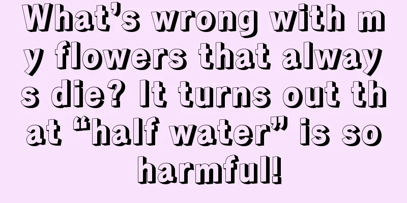 What’s wrong with my flowers that always die? It turns out that “half water” is so harmful!