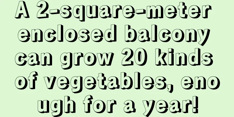 A 2-square-meter enclosed balcony can grow 20 kinds of vegetables, enough for a year!