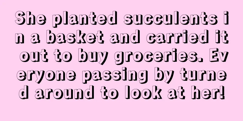 She planted succulents in a basket and carried it out to buy groceries. Everyone passing by turned around to look at her!