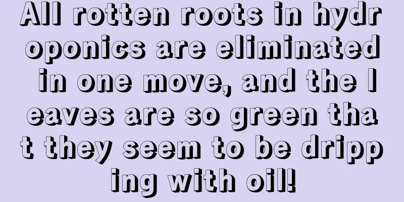 All rotten roots in hydroponics are eliminated in one move, and the leaves are so green that they seem to be dripping with oil!