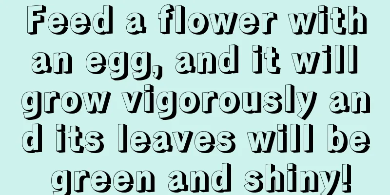 Feed a flower with an egg, and it will grow vigorously and its leaves will be green and shiny!