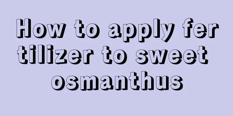 How to apply fertilizer to sweet osmanthus