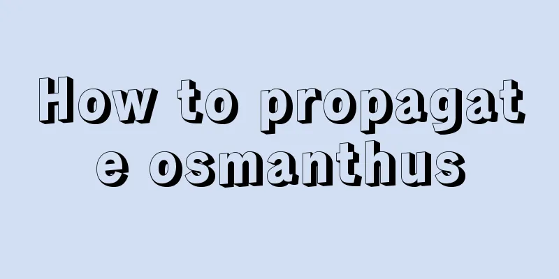 How to propagate osmanthus