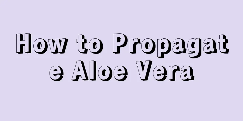 How to Propagate Aloe Vera