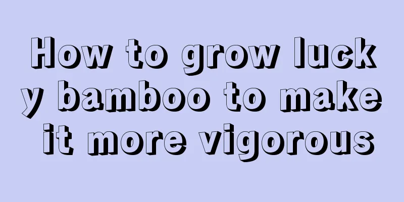 How to grow lucky bamboo to make it more vigorous