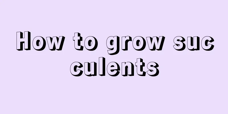 How to grow succulents