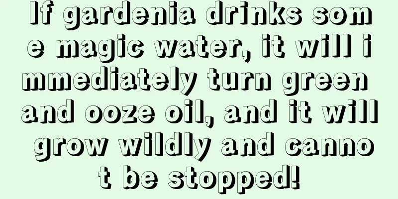 If gardenia drinks some magic water, it will immediately turn green and ooze oil, and it will grow wildly and cannot be stopped!