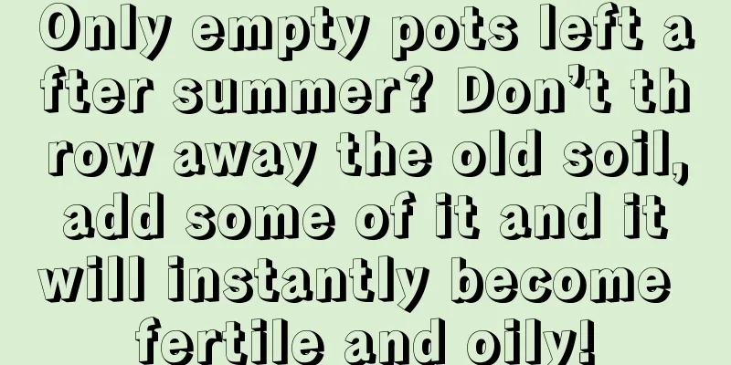 Only empty pots left after summer? Don’t throw away the old soil, add some of it and it will instantly become fertile and oily!