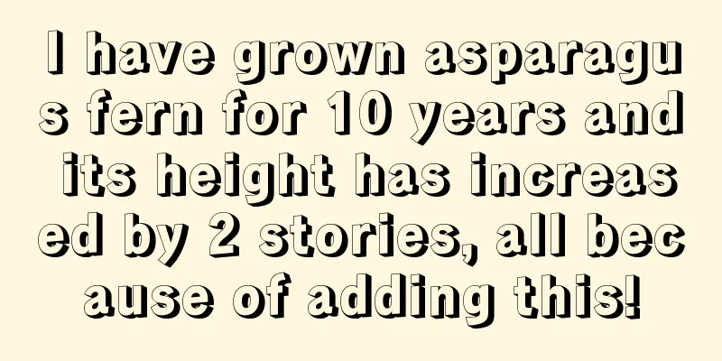 I have grown asparagus fern for 10 years and its height has increased by 2 stories, all because of adding this!
