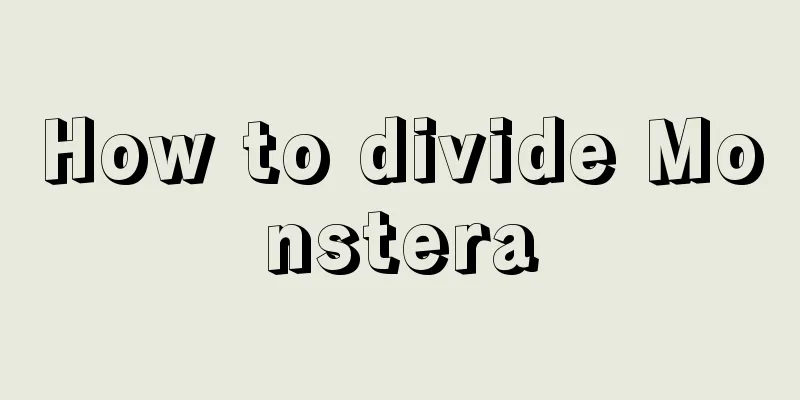 How to divide Monstera