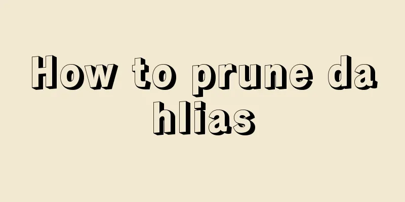 How to prune dahlias