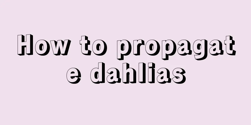 How to propagate dahlias