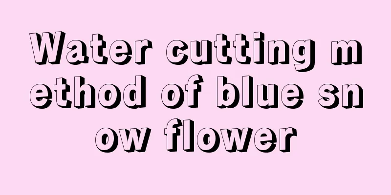 Water cutting method of blue snow flower