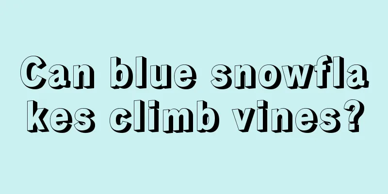 Can blue snowflakes climb vines?